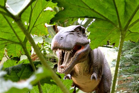 Tropical Parc dans le Morbihan