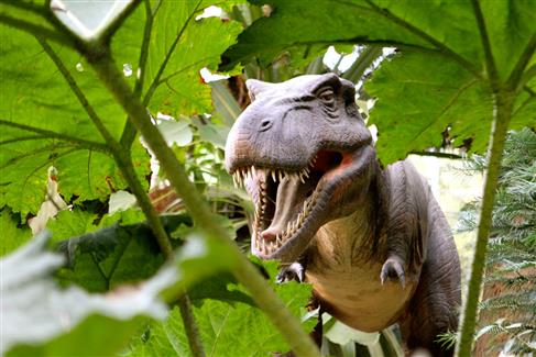 Tropical Parc dans le Morbihan