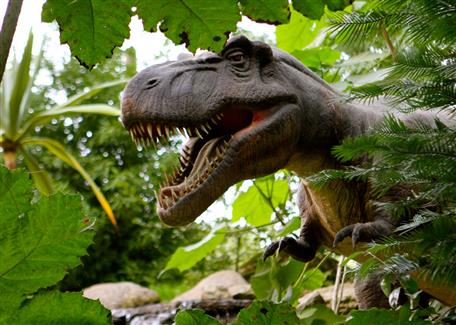 Tropical Parc dans le Morbihan