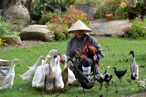 Tropical Parc dans le Morbihan