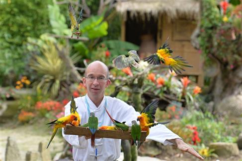 Tropical Parc dans le Morbihan