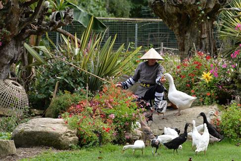 Tropical Parc dans le Morbihan