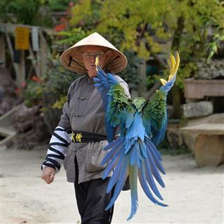 Tropical Parc dans le Morbihan