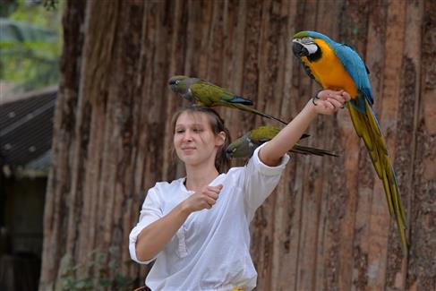Tropical Parc dans le Morbihan