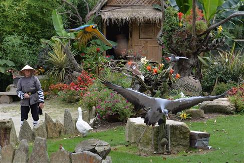 Tropical Parc dans le Morbihan