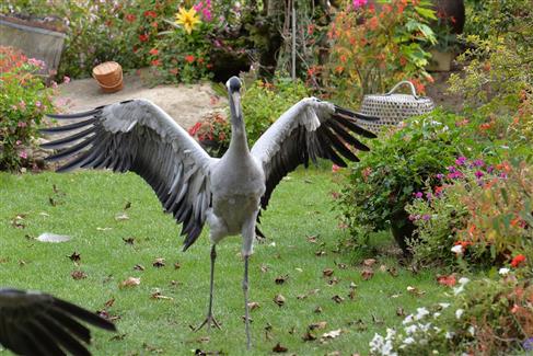 Tropical Parc dans le Morbihan