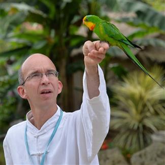 Tropical Parc dans le Morbihan