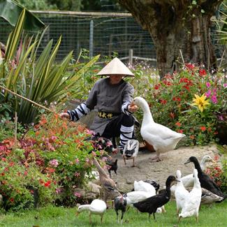 Tropical Parc dans le Morbihan