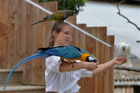 Tropical Parc dans le Morbihan