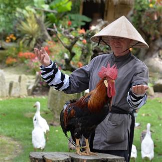Tropical Parc dans le Morbihan