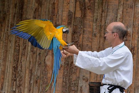Tropical Parc dans le Morbihan