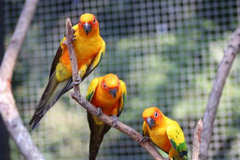 Tropical Parc dans le Morbihan