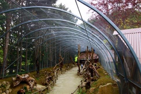 Tropical Parc dans le Morbihan