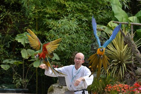 Tropical Parc dans le Morbihan