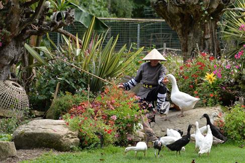 Tropical Parc dans le Morbihan