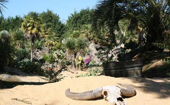 Tropical Parc dans le Morbihan