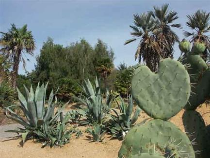 Tropical Parc dans le Morbihan