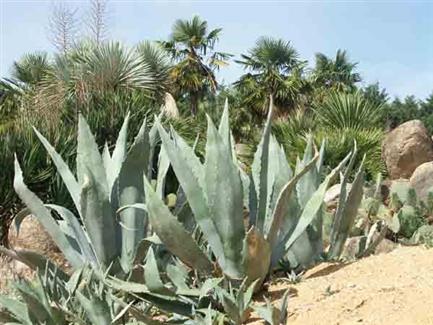 Tropical Parc dans le Morbihan