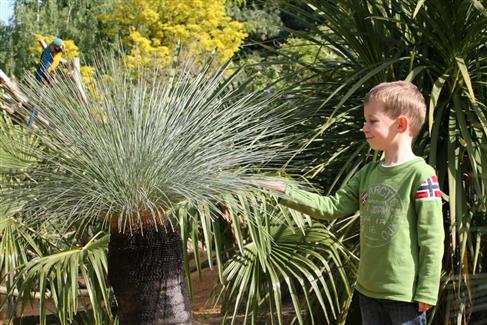 Tropical Parc dans le Morbihan