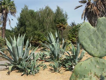 Tropical Parc dans le Morbihan