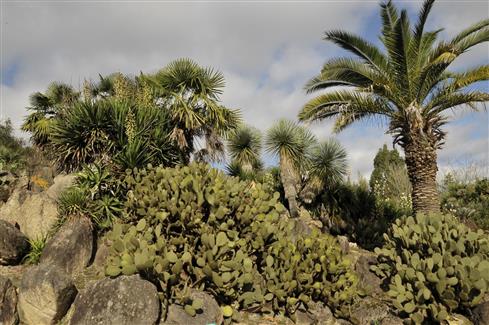 Tropical Parc dans le Morbihan