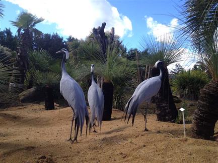 Tropical Parc dans le Morbihan