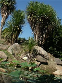 Tropical Parc dans le Morbihan