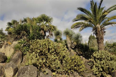 Tropical Parc dans le Morbihan