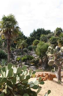 Tropical Parc dans le Morbihan