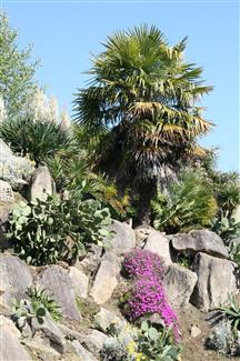 Tropical Parc dans le Morbihan