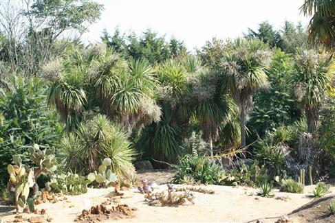 Tropical Parc dans le Morbihan