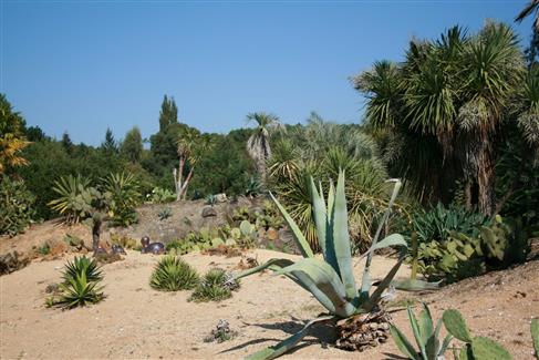 Tropical Parc dans le Morbihan