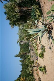 Tropical Parc dans le Morbihan