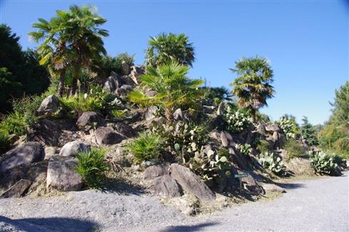 Tropical Parc dans le Morbihan