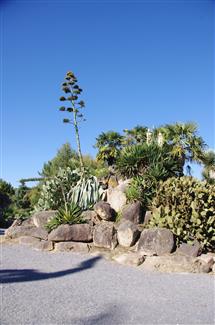 Tropical Parc dans le Morbihan