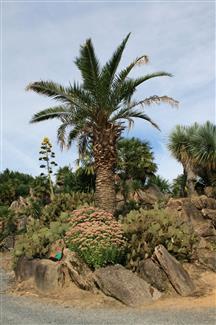 Tropical Parc dans le Morbihan