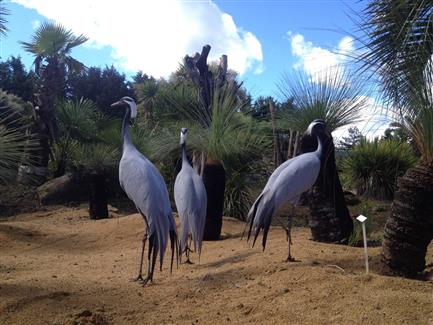 Tropical Parc dans le Morbihan