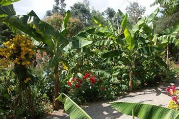 Tropical Parc dans le Morbihan