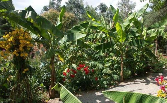 Tropical Parc dans le Morbihan