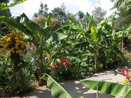 Tropical Parc dans le Morbihan