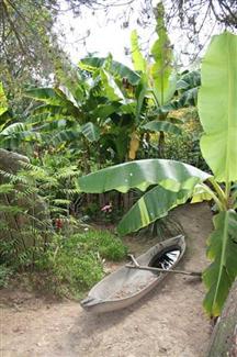 Tropical Parc dans le Morbihan