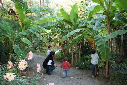 Tropical Parc dans le Morbihan