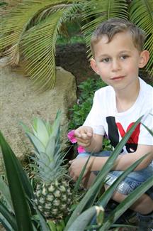 Tropical Parc dans le Morbihan
