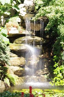 Tropical Parc dans le Morbihan
