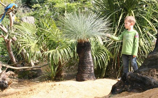 Tropical Parc dans le Morbihan