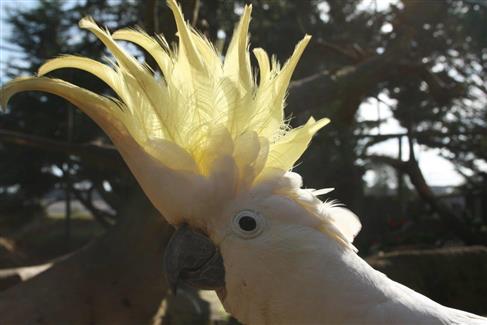 Tropical Parc dans le Morbihan