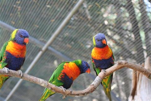 Tropical Parc dans le Morbihan
