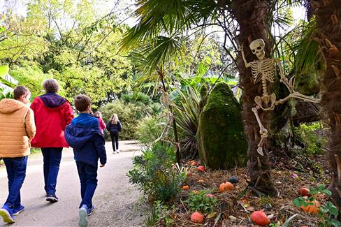 Halloween at Tropical Park in Brittany