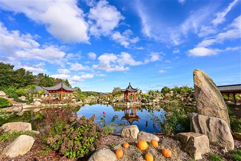 Amusement tropical park in Brittany with pumpkins