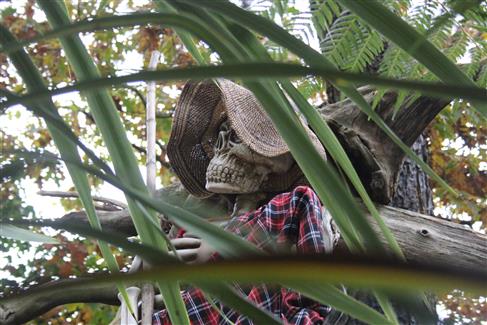 halloween decoartion in the tropical park gardens